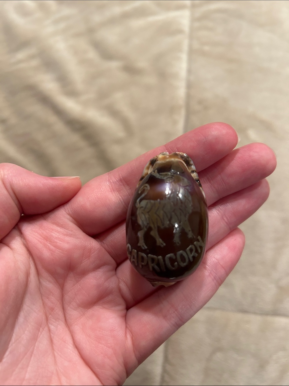 Capricorn Zodiac Carved Tiger Cowrie Shell